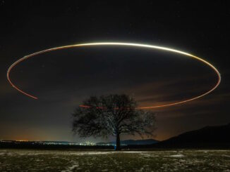 A long-exposure night photograph captures the light trail of a flying object circling above a solitary oak tree in an open field. The illuminated path forms a near-complete loop in the dark sky, reminiscent of a narrative arc's progression from exposition to resolution.